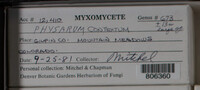 Image Associated With the Occurence